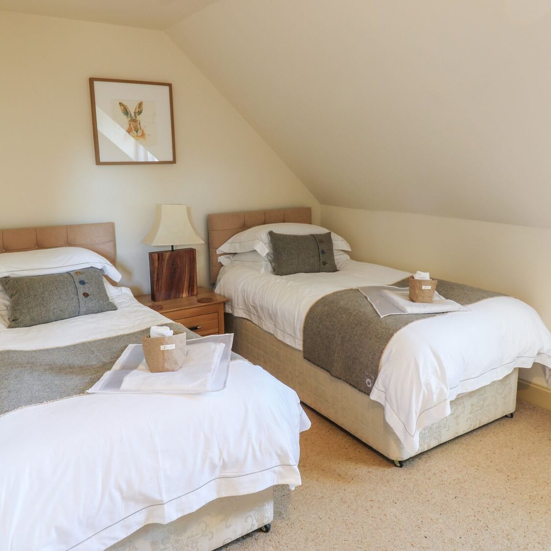 sc_15723484498361_1026320_19